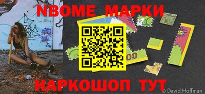 МДПВ Кингисепп