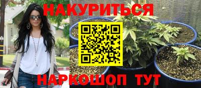 МДПВ Кингисепп