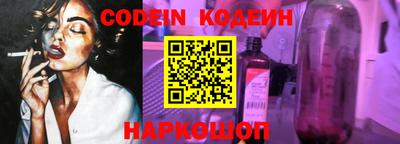 МДПВ Кингисепп